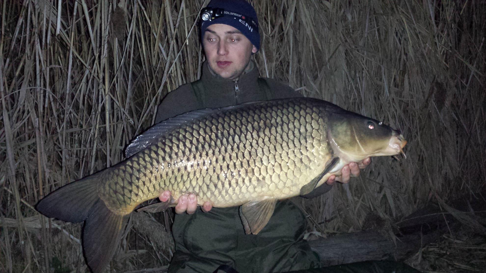 Tancabesti 14 - 16 mar. - 2014-03-15-2059241.jpg